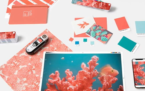 彩妆界早已用烂的珊瑚橙，为何凭啥成为2019年度颜色？