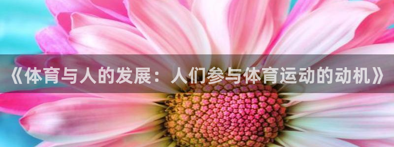 top1体育网站：《体育与人的发展：人们参与体育运动的动机》