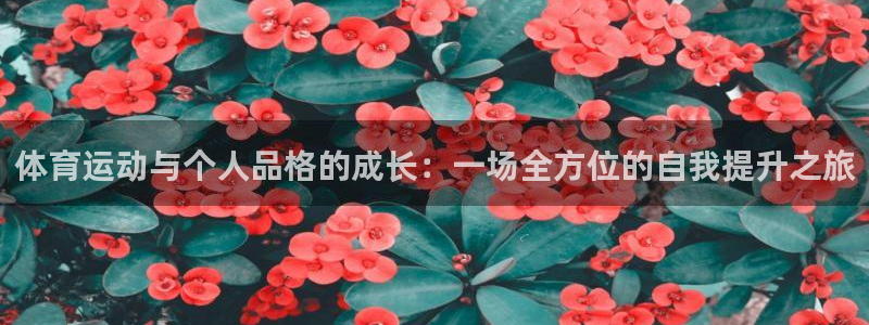 top1体育网页版：体育运动与个人品格的成长：一场全方位的自我提升之旅