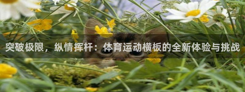 top1体育链接