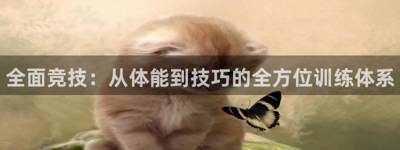 top1体育官方版下载