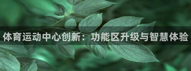 top1体育官方入口