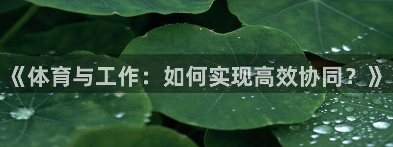 Top1体育模拟器：《体育与工作：如何实现高效协同？》